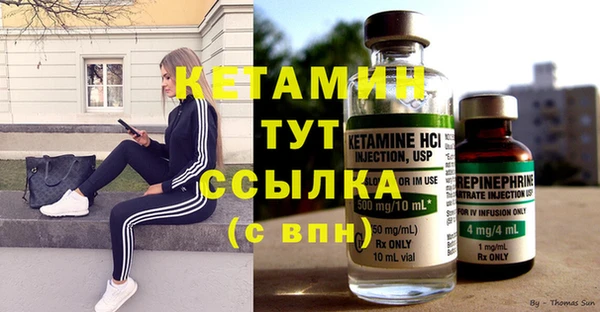 индика Фёдоровский