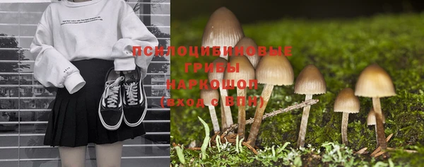 сатива Куйбышев
