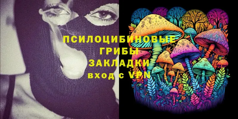 сайты даркнета какой сайт  Челябинск  Галлюциногенные грибы Cubensis 