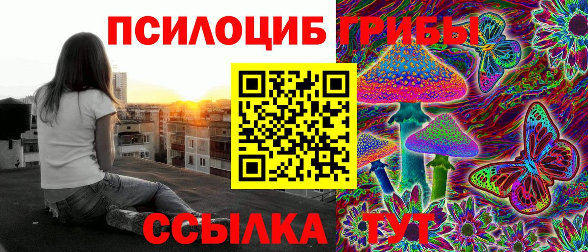 Псилоцибиновые грибы мухоморы  купить наркоту  Челябинск  Вход с VPN 