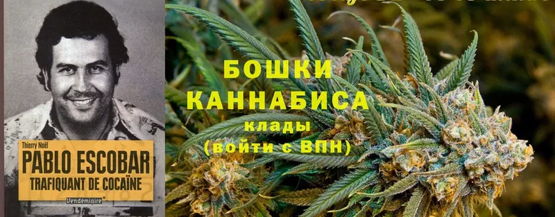 Марихуана White Widow  наркотики  Челябинск 